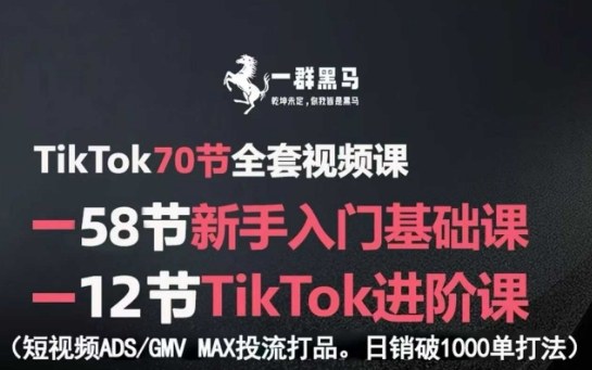 TikTok全套视频课，新手入门+进阶课，短视频ADS-GMV MAX投流打品，日销破1000单打法-众创网