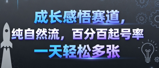 成长感悟赛道，纯自然流，百分百起号率 一天轻松多张-众创网