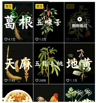 抖音中草药赛道，用AI做中草药故事视频，45条作品涨粉13W，橱窗带货猛猛出单-众创网