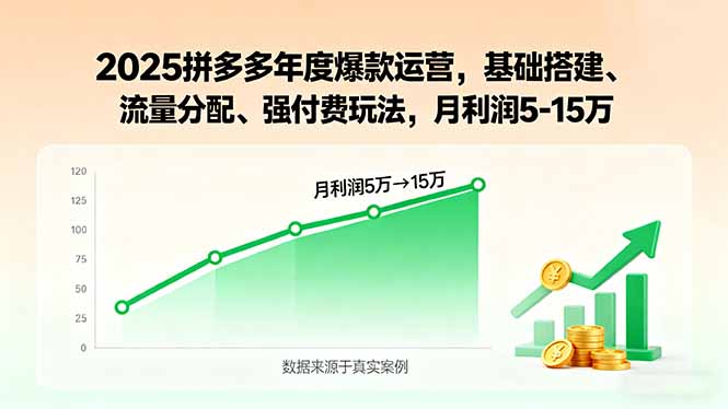 2025拼多多年度爆款运营，基础搭建、流量分配、强付费玩法，月利润5-15万-众创网