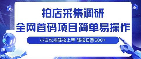 拍店采集调研，全网首码项目，简单易操作， 小白也能轻松上手，多账号操作，轻松日入5张【揭秘】-众创网