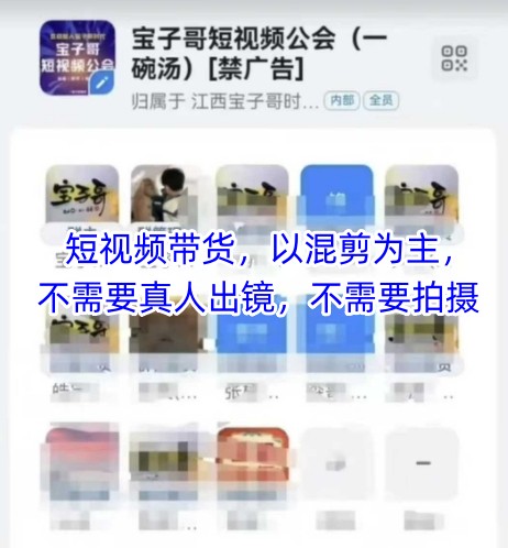 宝子哥头部团队短视频带货，以混剪为主，不需要真人出镜，不需要拍摄【更新9月】-众创网