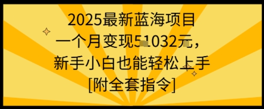 2025最新蓝海项目一个月变现1w+新手小白也能轻松上手【附全套指令】-众创网