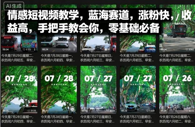 情感短视频教学，蓝海赛道，涨粉快，收益高，手把手教会你，零基础必备-众创网