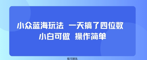 小众蓝海玩法 一天搞了四位数 小白可做 操作简单-众创网