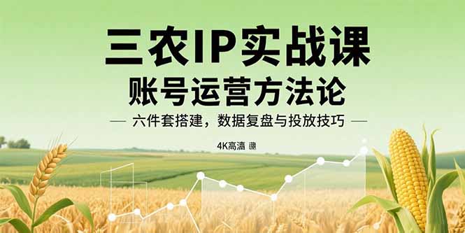 三农IP实战课：账号运营方法论，六件套搭建，数据复盘与投放技巧-众创网